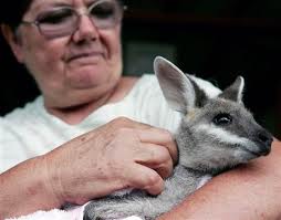 Career & Finance,Courses,Family,Fashion & Beauty,Foods & Culinary,Technology and Electronic,Recreation,Wellness,Living,Make Up,Mens Wear,Music and photographer,Muslim Fashion,Nail,Personal Product & Services,Pets & Animals,Real Estate,Relationships,Search Engine Optimization (SEO),Sports & Athletics,Sports Wear,Advertising & Marketing,Arts & Entertainment,Auto & Motor,Business Products & Services